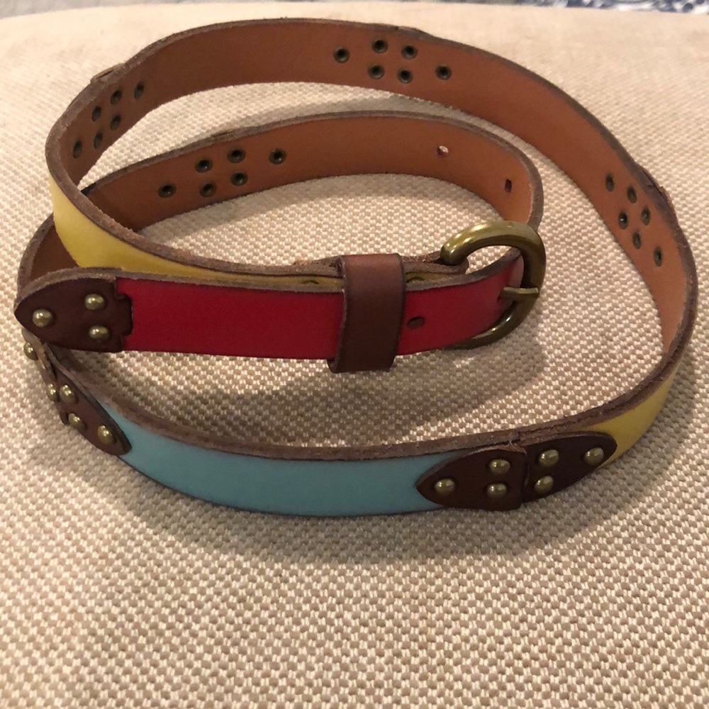Fossil belt - red blue and yellow